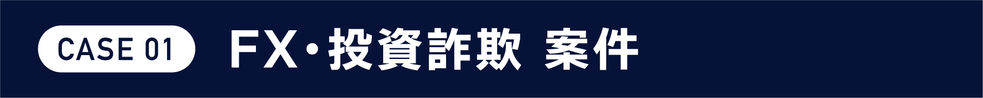 CASE02 FX・投資詐欺 案件